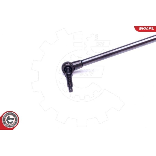 ESEN SKV Gasfeder, Koffer-/Laderaum