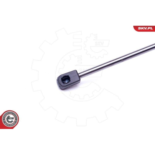 ESEN SKV Gasfeder, Koffer-/Laderaum