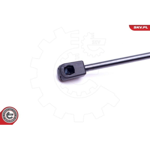 ESEN SKV Gasfeder, Koffer-/Laderaum