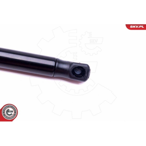 ESEN SKV Gasfeder, Koffer-/Laderaum