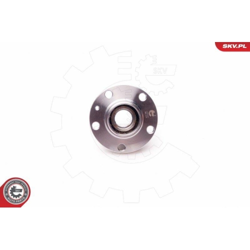 ESEN SKV Radlagersatz