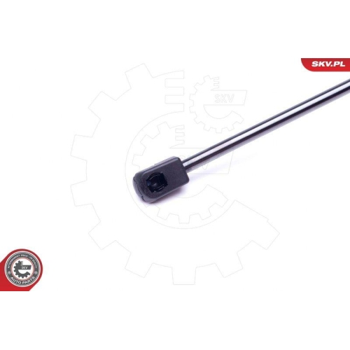 ESEN SKV Gasfeder, Koffer-/Laderaum