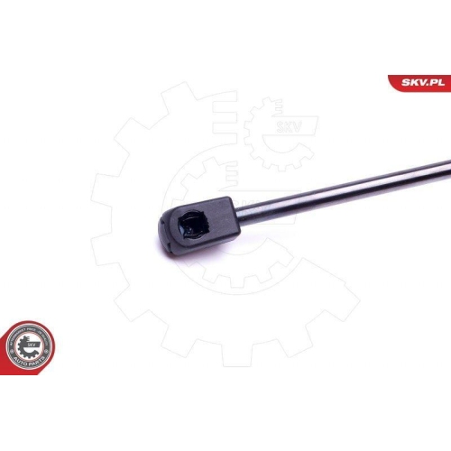 ESEN SKV Gasfeder, Koffer-/Laderaum