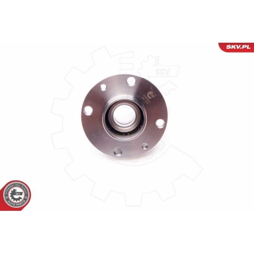 ESEN SKV Radlagersatz