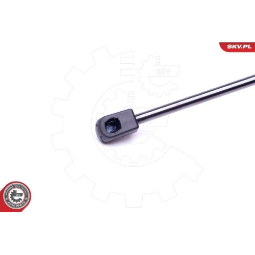 ESEN SKV Gasfeder, Koffer-/Laderaum