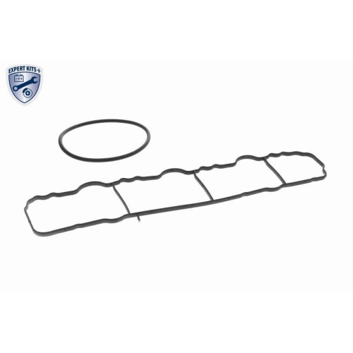 VAICO Saugrohrmodul EXPERT KITS +