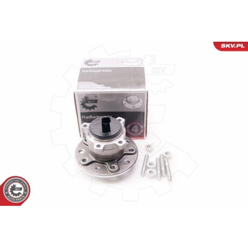 ESEN SKV Radlagersatz