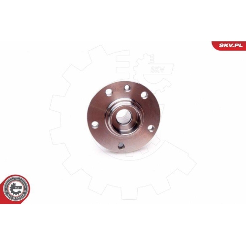 ESEN SKV Radlagersatz