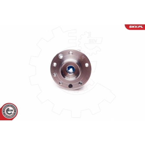 ESEN SKV Radlagersatz