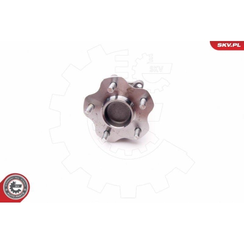 ESEN SKV Radlagersatz