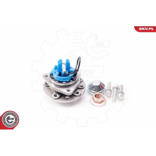 ESEN SKV Radlagersatz
