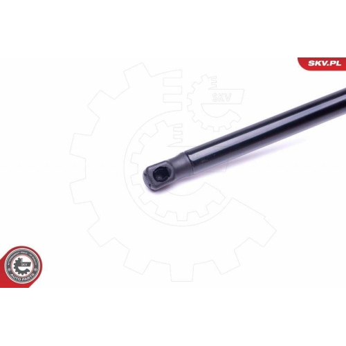 ESEN SKV Gasfeder, Koffer-/Laderaum