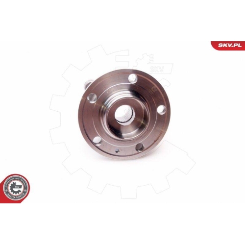 ESEN SKV Radlagersatz