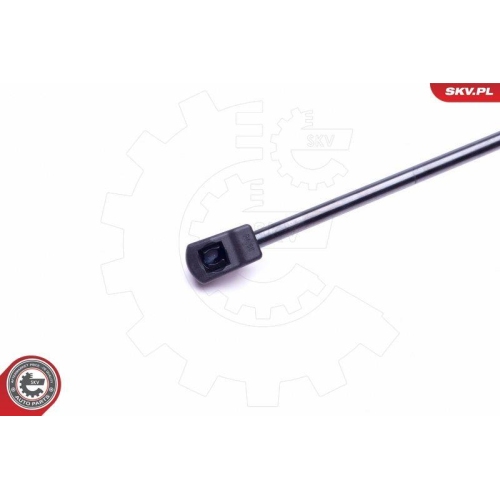 ESEN SKV Gasfeder, Koffer-/Laderaum