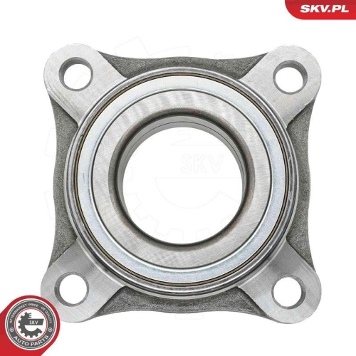 ESEN SKV Radlagersatz