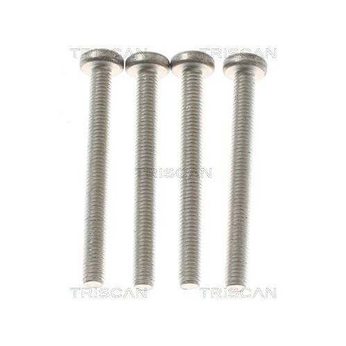 TRISCAN Wasserpumpe, Motorkühlung