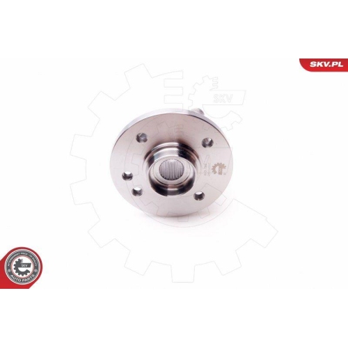 ESEN SKV Radlagersatz