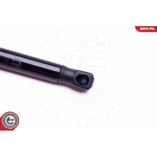 ESEN SKV Gasfeder, Koffer-/Laderaum