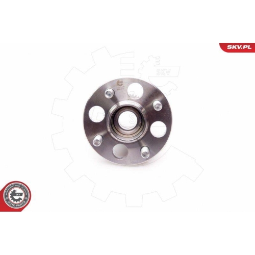 ESEN SKV Radlagersatz