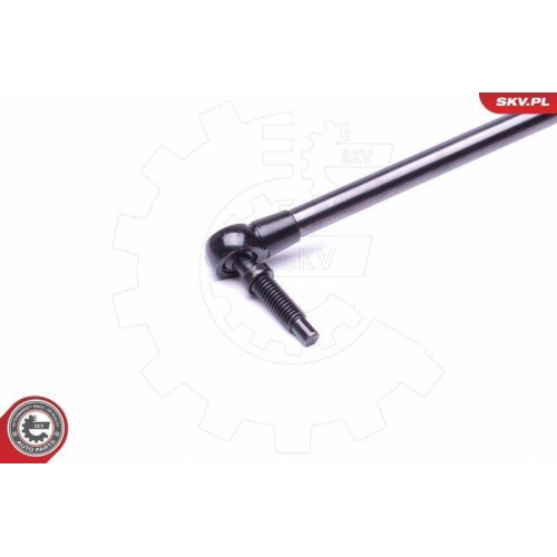 ESEN SKV Gasfeder, Koffer-/Laderaum