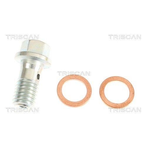 TRISCAN Bremsschlauch