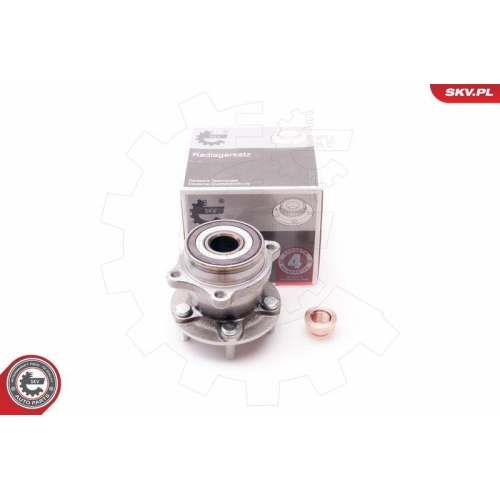 ESEN SKV Radlagersatz