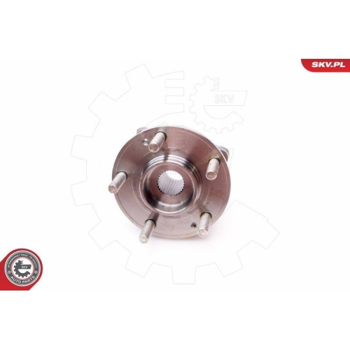 ESEN SKV Radlagersatz