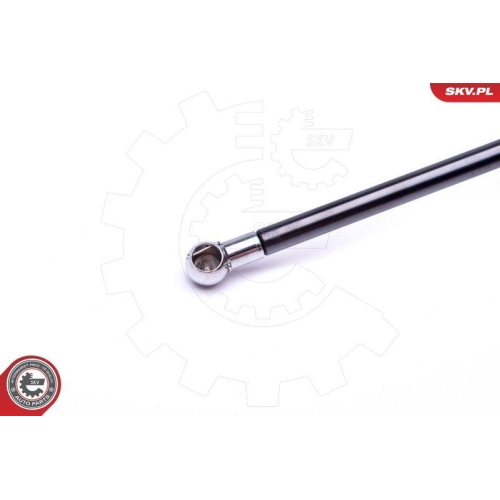 ESEN SKV Gasfeder, Koffer-/Laderaum