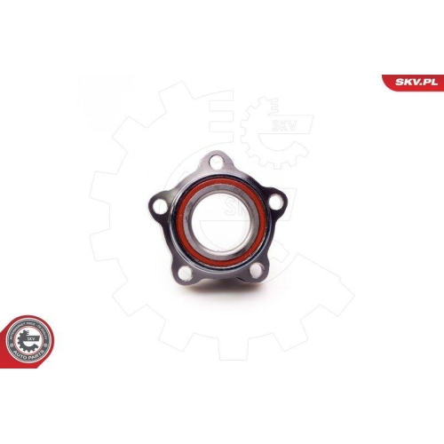 ESEN SKV Radlagersatz