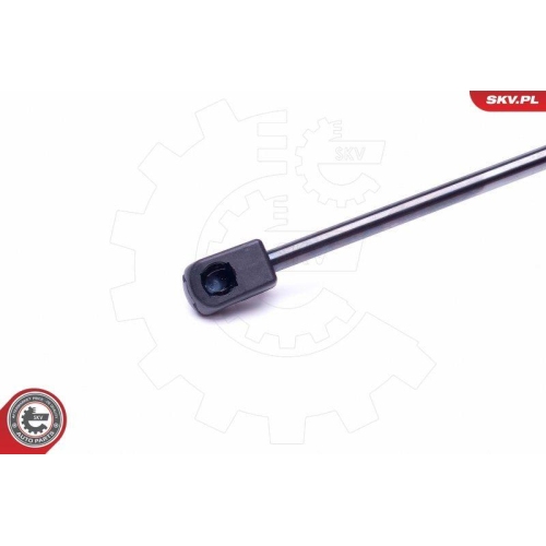 ESEN SKV Gasfeder, Koffer-/Laderaum