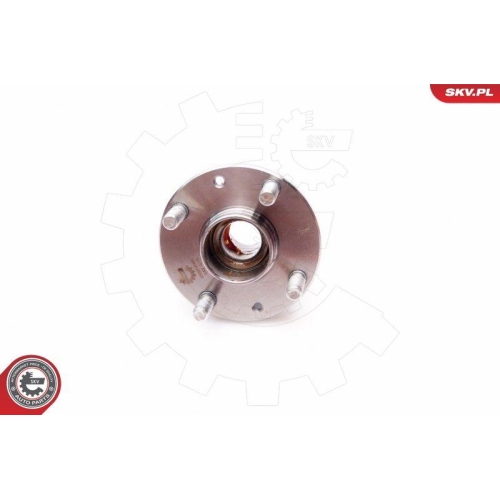 ESEN SKV Radlagersatz
