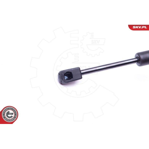 ESEN SKV Gasfeder, Koffer-/Laderaum