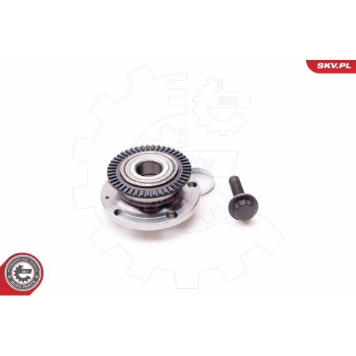 ESEN SKV Radlagersatz