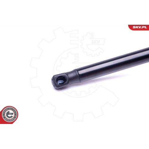 ESEN SKV Gasfeder, Koffer-/Laderaum