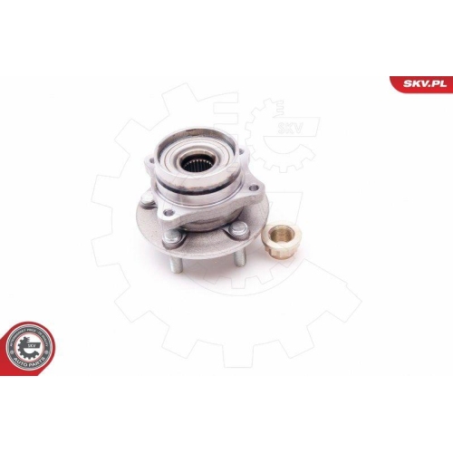 ESEN SKV Radlagersatz