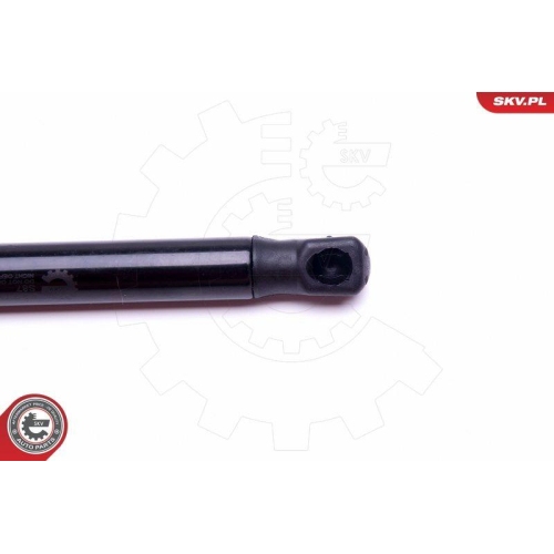 ESEN SKV Gasfeder, Koffer-/Laderaum