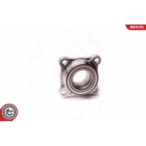 ESEN SKV Radlagersatz