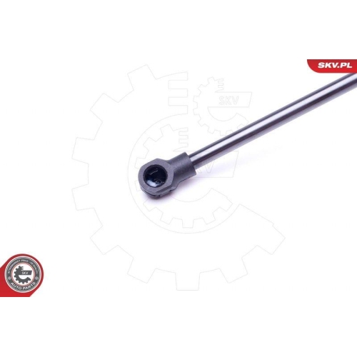 ESEN SKV Gasfeder, Koffer-/Laderaum