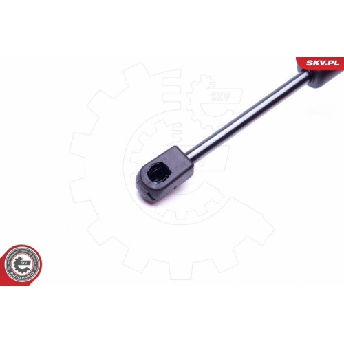 ESEN SKV Gasfeder, Koffer-/Laderaum