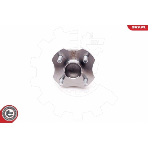ESEN SKV Radlagersatz