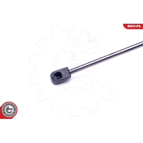 ESEN SKV Gasfeder, Koffer-/Laderaum