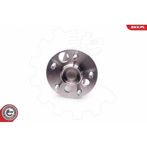 ESEN SKV Radlagersatz