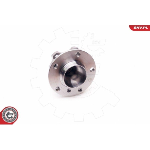 ESEN SKV Radlagersatz
