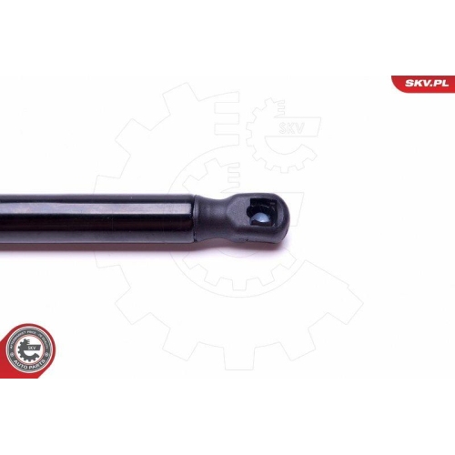 ESEN SKV Gasfeder, Koffer-/Laderaum