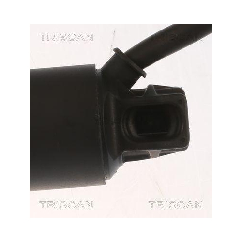 TRISCAN Gasfeder, Koffer-/Laderaum