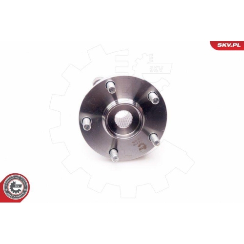 ESEN SKV Radlagersatz
