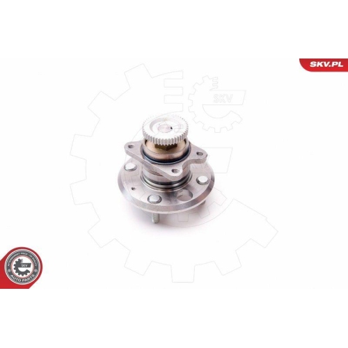 ESEN SKV Radlagersatz