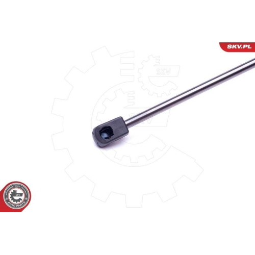 ESEN SKV Gasfeder, Koffer-/Laderaum