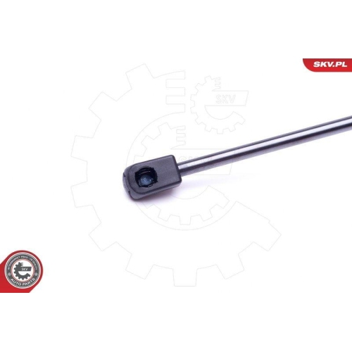 ESEN SKV Gasfeder, Koffer-/Laderaum