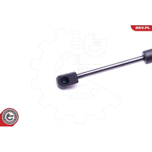 ESEN SKV Gasfeder, Koffer-/Laderaum